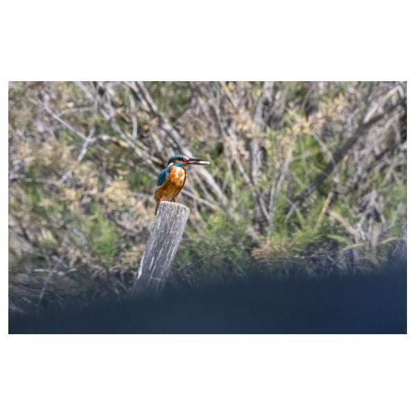 PHOTO84, CLUB, 84 , LUBERON